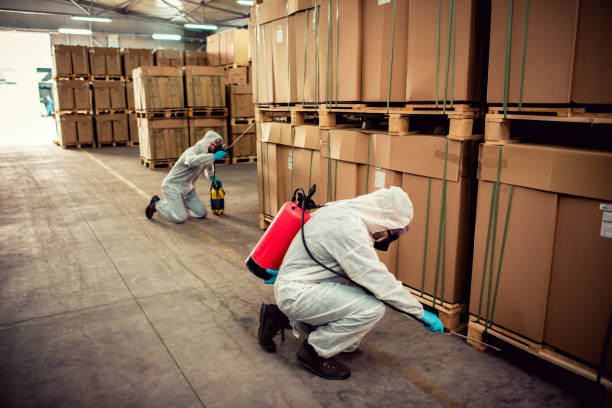 Best Pest Control Near Me  in Olivette, MO