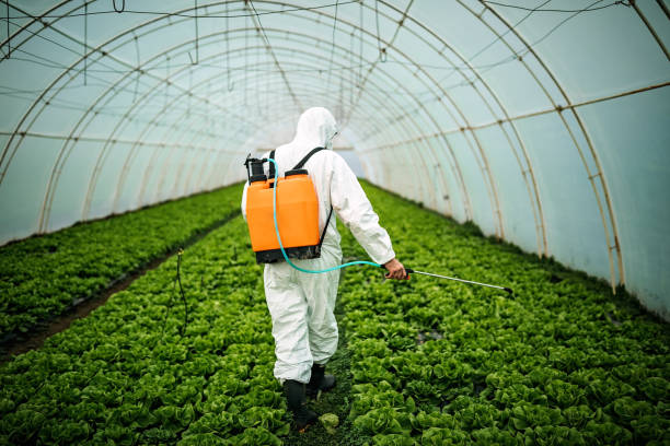 Best Local Pest Control Services  in Olivette, MO