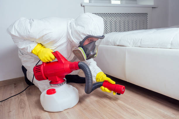 Best Best Pest Control Companies  in Olivette, MO