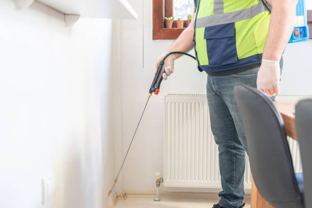 Trusted Olivette, MO Pest Control Experts