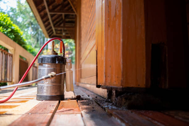 Best Mosquito Control Services  in Olivette, MO