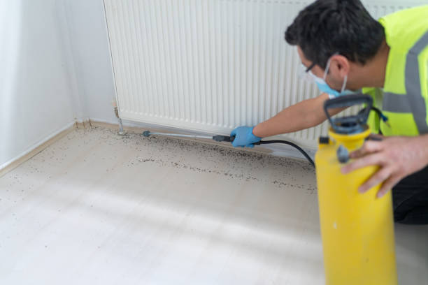 Best Bed Bug Extermination  in Olivette, MO