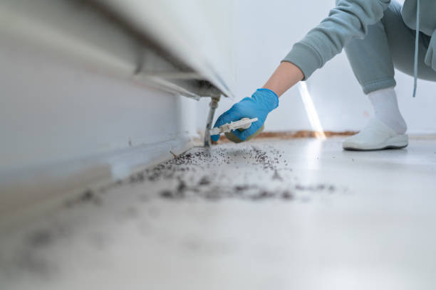 Best Pest Inspection Near Me  in Olivette, MO